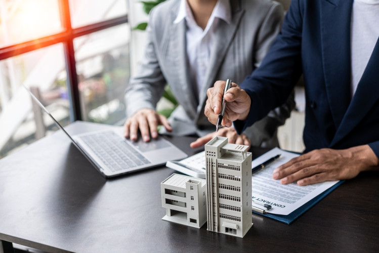 Resilient Economy and Investment Potential
