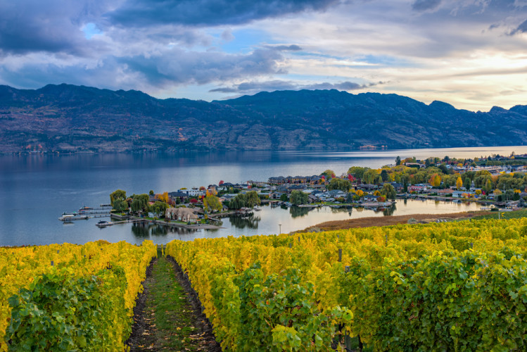 Okanagan Valley: Wine, Lakes, and Luxury Estates