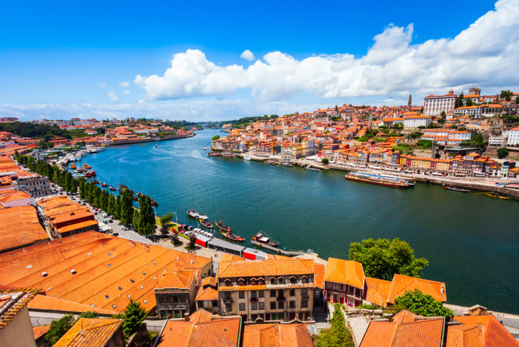 Prime Waterfront Properties Along the Douro River