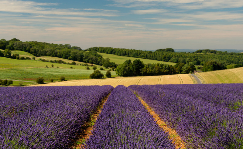 Stunning Natural Beauty