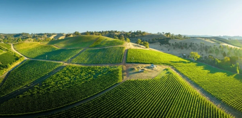 Gateway to Australia’s Wine Country