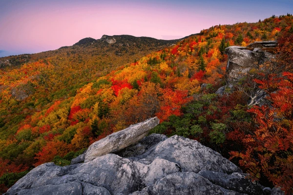 Explore North Carolina’s Mountains, Beaches, and Everything In-Between
