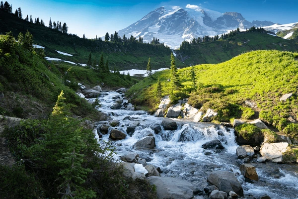 From Mountains to Coastlines: Experience Washington’s Stunning Landscapes