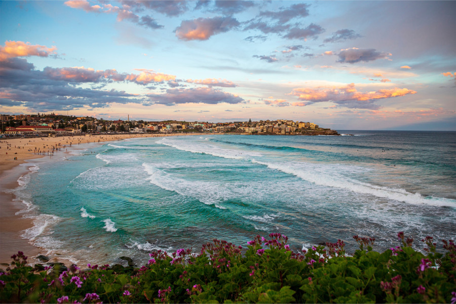The Best Neighbourhoods for Families Buying Property in Sydney