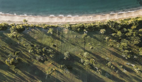 Nanuku Ocean Estates photo - 1